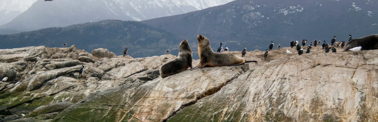 Ushuaia, Argentina