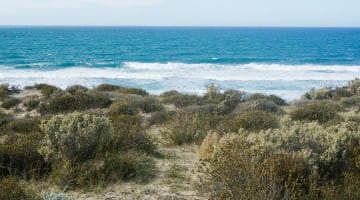 Coastal Retreat at Puerto Madryn