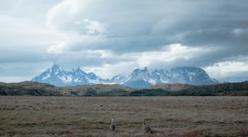 Indigenous Heritage Expedition