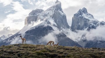 Patagonian Peaks Expedition