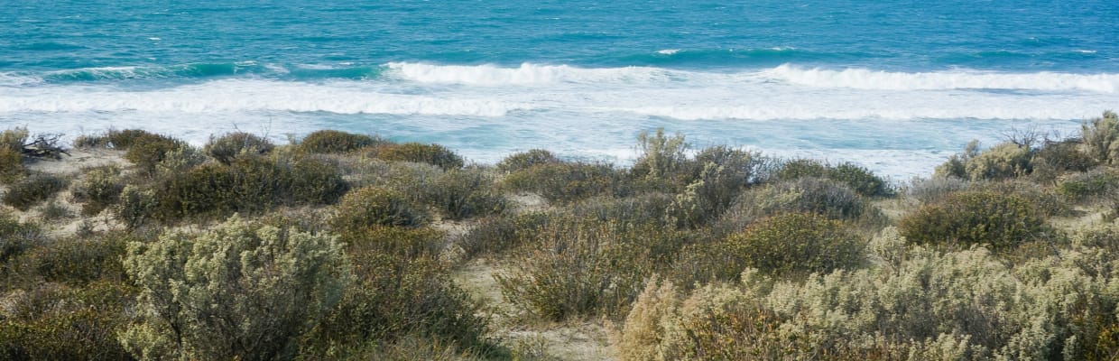 Coastal Retreat at Puerto Madryn