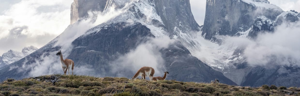 Patagonian Peaks Expedition